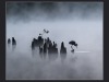 Misty-Morning-Fishing-by-Pat-Davis