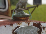 Faithful guardian - mj mann