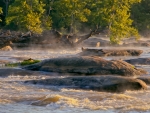 Nancy Pony Pasture 1
