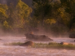 Nancy Pony Pasture 2