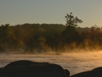 Nancy Pony Pasture 3