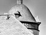 shapes 4107