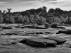 A-View-on-the-James-River-John-D.-Roach-2