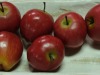 DSCF4378r-Pat-H