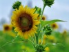 FullSizeRenderr-John-E