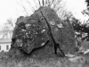 DSCF6751