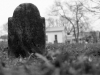 DSCF6753
