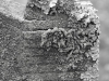 DSCF6774