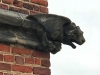 gargoyle