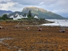 Plockton Low Tide