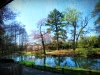 maymont