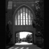 Chuck Kehoe - University Campus