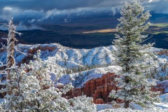 John R