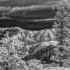 After_the_Snow_(Mono)