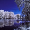 At_the_Lagoon