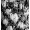 Natural_Abstract
