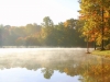 misty morning