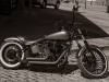rayr_5_2006-Harley-Davidson-Night-Train