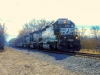 rayr_8_train-Amelia-VA