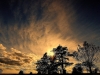 Black&GoldSunset