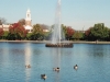 Bird_Park_84570016