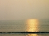 Walking_Dog_on_Beach_671200-R1-06-22